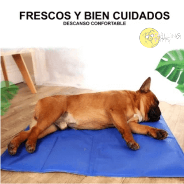 Manta Refrescante Talla L (Cool Mat) - Imagen 2