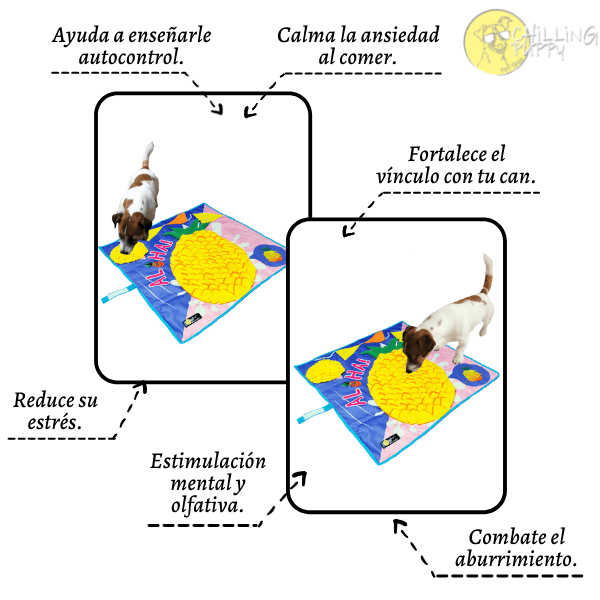 Alfombra Olfativa / Aloha (Chilling Mat) - Imagen 4