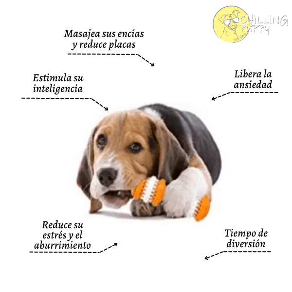 Mordedores Pesas Nunbell - Imagen 4